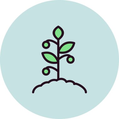 Domates bitkisi simgesi, vektör illüstrasyonu