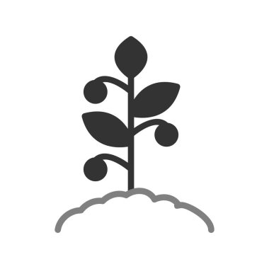 Domates bitkisi simgesi, vektör illüstrasyonu