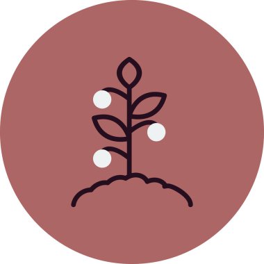 Domates bitkisi simgesi, vektör illüstrasyonu