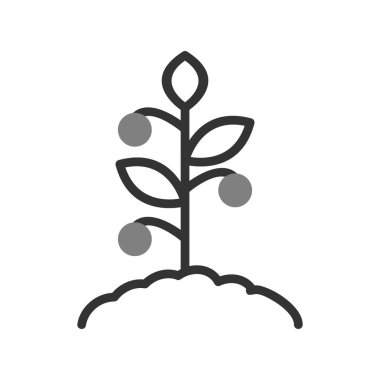 Domates bitkisi simgesi, vektör illüstrasyonu