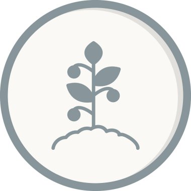 Domates bitkisi simgesi, vektör illüstrasyonu