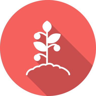 Domates bitkisi simgesi, vektör illüstrasyonu