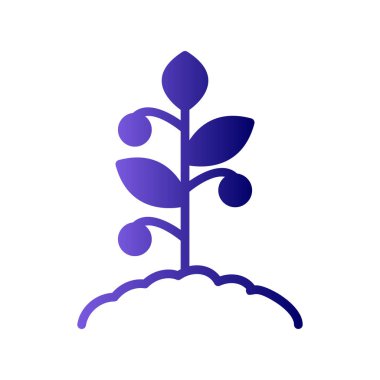 Domates bitkisi simgesi, vektör illüstrasyonu