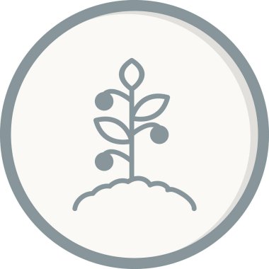 Domates bitkisi simgesi, vektör illüstrasyonu