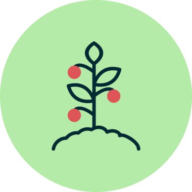 Domates bitkisi simgesi, vektör illüstrasyonu