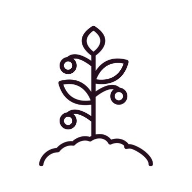 Domates bitkisi simgesi, vektör illüstrasyonu