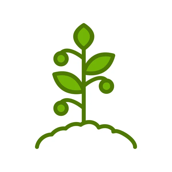 Tomato Plant Icon Vector Illustration — 스톡 벡터