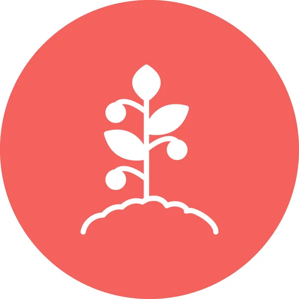 Значок Томатного Растения Векторная Иллюстрация — стоковый вектор