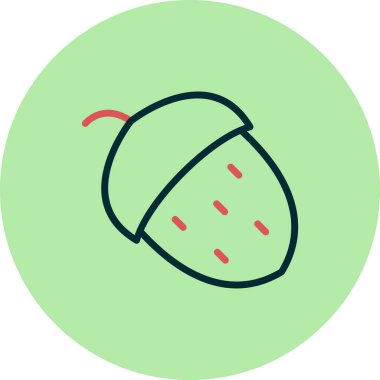 Meşe palamudu, vektör illüstrasyonu