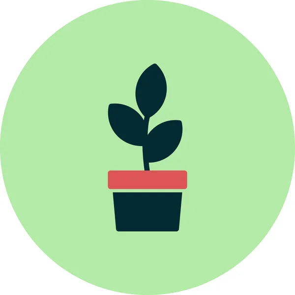 Plant Icon Isolated White Background Vector Illustration — Vetor de Stock