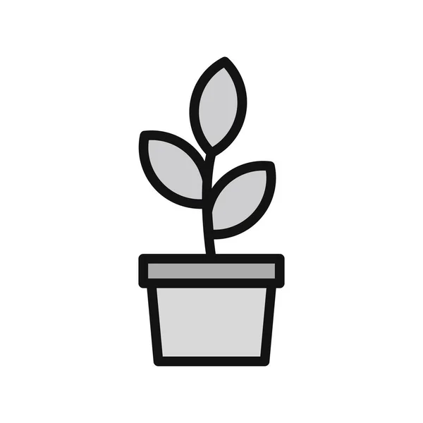Plant Icon Isolated White Background Vector Illustration — Stock Vector