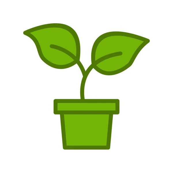 Plant Icon Isolated White Background Vector Illustration —  Vetores de Stock