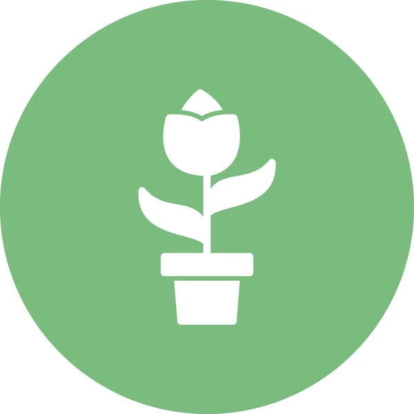 Ikona Rośliny Izolowane Białym Tle Ilustracja Wektora — Wektor stockowy