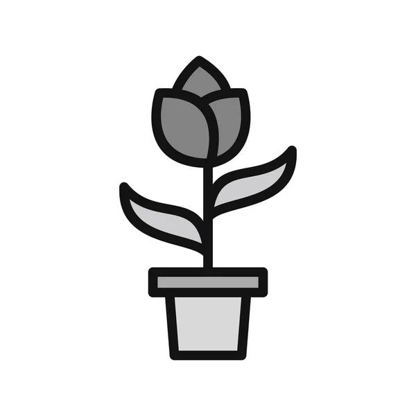 Plant Icon Isolated White Background Vector Illustration —  Vetores de Stock