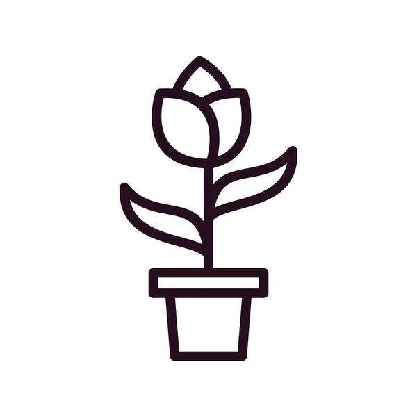 Plant Icon Isolated White Background Vector Illustration — Stockový vektor