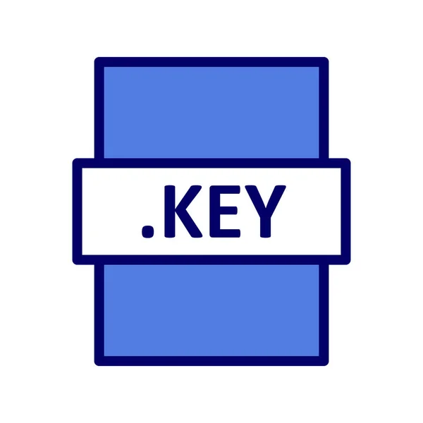 Ikona Klíčového Slova Nebo Hesla Prohlížeče Jednoduchý Návrh Vektoru — Stockový vektor