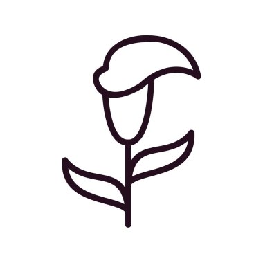 Lily çiçek ikonu vektör illüstrasyonu