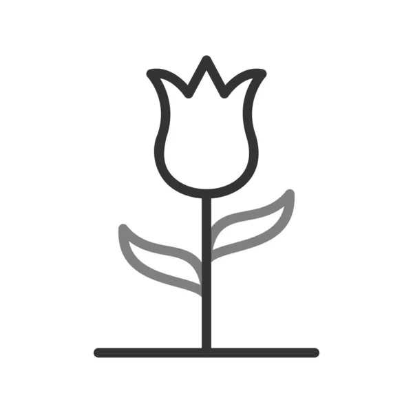 从白色背景 郁金香透明标志 线条和线形设计元素中分离出来的花朵图标向量 — 图库矢量图片