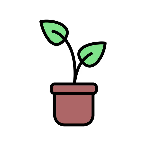 植物盆栽图标矢量图解设计 — 图库矢量图片