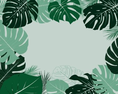 Filodendron bitkisi, canavar. Değişik bitki örtüsü yeşili bitki örtüsü ormanı renksiz çiçek desenli arka plan bırakır. Kopya alanı ile yaz dekorasyon tasarımı için vektör.