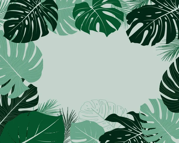 Filodendron bitkisi, canavar. Değişik bitki örtüsü yeşili bitki örtüsü ormanı renksiz çiçek desenli arka plan bırakır. Kopya alanı ile yaz dekorasyon tasarımı için vektör.