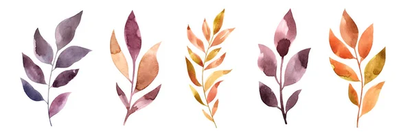 Akvarelová Sada Podzimních Větviček Izolované Bílém Pozadí Suché Listy Den — Stock fotografie
