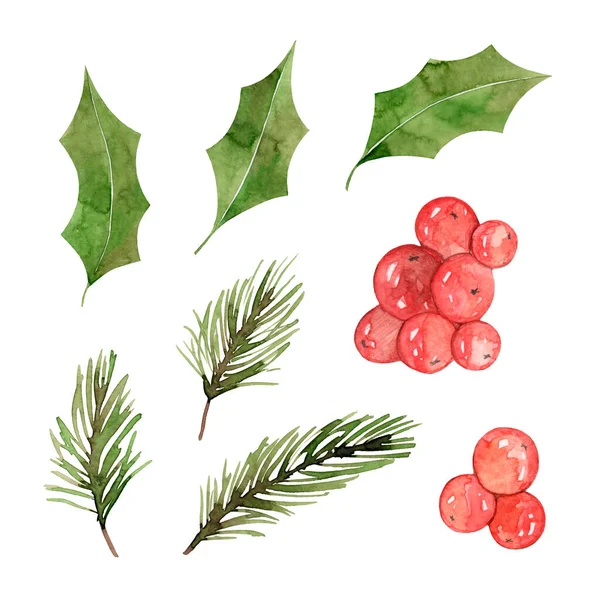 Suluboya Noel seti. Holly Berry, ladin dalları, kırmızı böğürtlen. Kış yeşillikleri. Yeni Yıl Dekorasyonu.