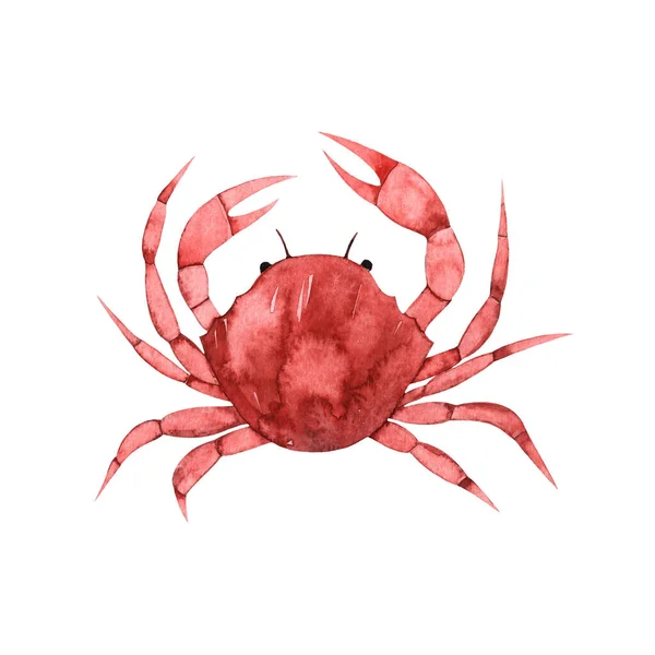 Akvarell Ritning Röd Krabba Isolerad Vit Bakgrund Marint Djur Undervattensvärlden — Stockfoto