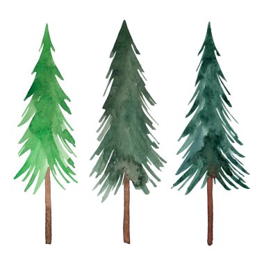 Beyaz arka planda izole edilmiş suluboya Noel ağacı. Ladin çizimleri. Firavun koleksiyonu. Bir grup çam..