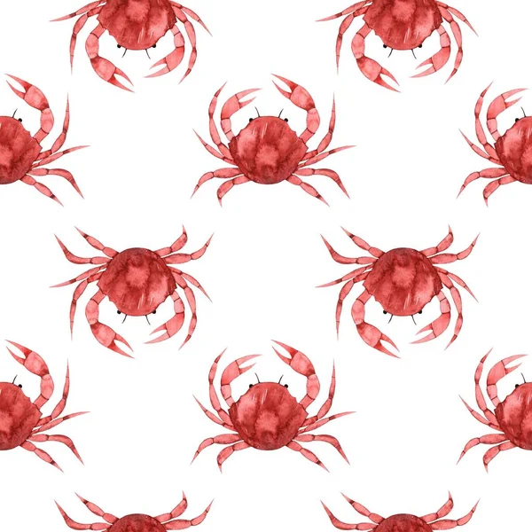 红色螃蟹的水彩画图案无缝 海洋动物 水生居民 — 图库照片