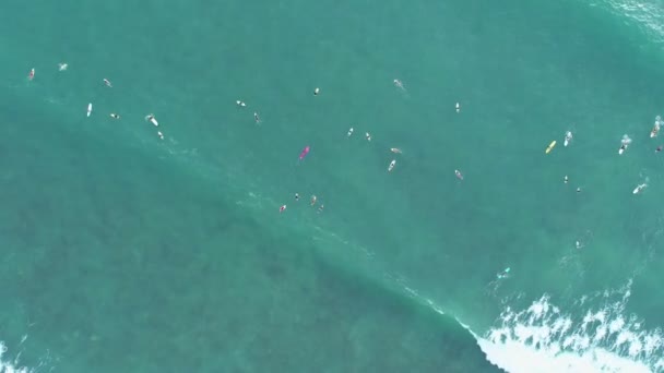 Nanılmaz Hava Manzarası Dalgaların Tepesi Tropikal Deniz Sörfçülerinde Kırılıyor Sörf — Stok video