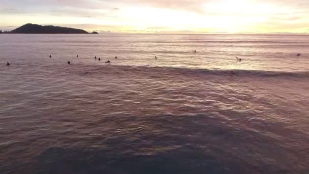 Úžasný Letecký Pohled Top Vln Přestávka Tropické Moře Surfaři Surfování — Stock video