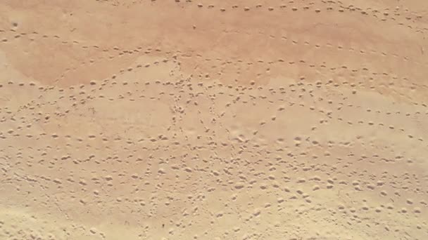 Widok Lotu Ptaka Odcisk Buta Piasku Tekstury Plaży Kamera Drona — Wideo stockowe