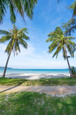 Patong Sahili 'nin etrafında palmiye ağaçları olan Phuket Adası Tayland' da Phuket Patong Patong Plajı yaz mevsiminde mavi gökyüzü arka planına sahip güzel tropik plaj..