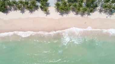 Hindistan cevizi palmiye ağaçlarının tepesinden aşağıya güzel patong plajı Phuket Tayland inanılmaz deniz kumsalı ve turist gezisi yeri andaman denizi üzerinde Güzel ada 