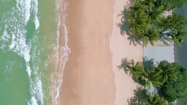 Вигляд Згори Кокосову Пальму Прекрасному Пляжі Пхукет Таїланд Дивовижний Морський — стокове відео