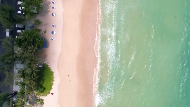Aerial View Top Coconut Pálmafák Gyönyörű Patong Strand Phuket Thaiföld — Stock videók