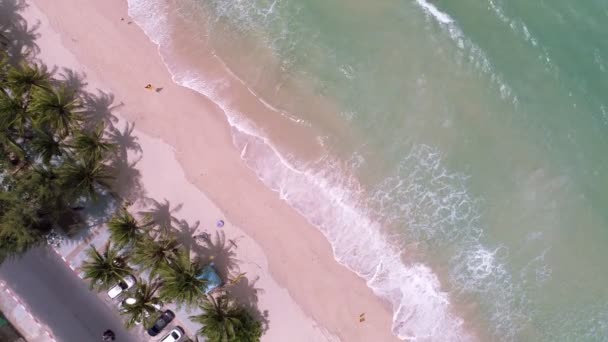 Luftaufnahme Von Oben Nach Unten Von Kokospalmen Auf Dem Schönen — Stockvideo