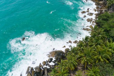 Hindistan cevizi palmiye ağaçlarıyla kayalara çarpan deniz dalgalarının havadan görünüşü Phuket Tayland 'ın güzel deniz kıyıları inanılmaz deniz manzarası.