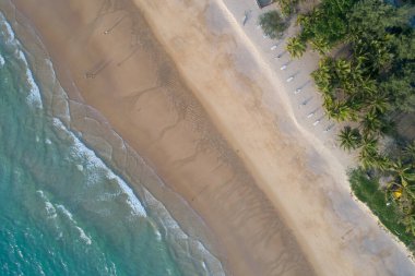 Hindistan cevizi palmiye ağaçlarının gökyüzü manzarası güzel Karon plajı Phuket Tayland inanılmaz deniz kumsalı turist gezisi yeri andaman denizi üzerinde Gün batımında güzel phuket adası.