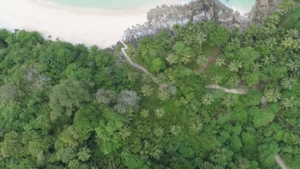 Incredibile Spiaggia Veduta Aerea Della Spiaggia Tropicale Mare Nella Bellissima — Video Stock