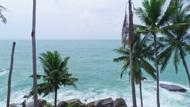 Hava Görüntüsü Palmiye Ağaçlarının Arasından Tropikal Denize Uçuyor Phuket Tayland — Stok video