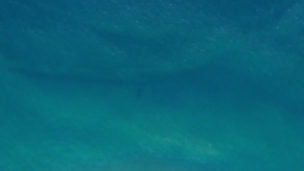 夏の美しい海の波ドローンの空からの映像素晴らしい海の表面の背景トップビュー海 — ストック動画