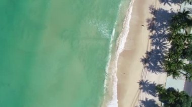 Hindistan cevizi palmiye ağaçlarının tepesinden aşağıya güzel patong plajı Phuket Tayland inanılmaz deniz kumsalı ve turist gezisi yeri andaman denizi üzerinde Güzel ada 