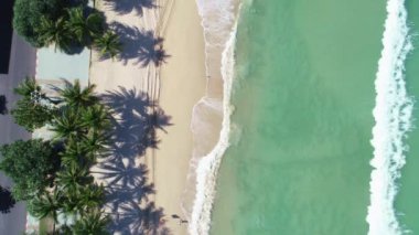 Hindistan cevizi palmiye ağaçlarının tepesinden aşağıya güzel patong plajı Phuket Tayland inanılmaz deniz kumsalı ve turist gezisi yeri andaman denizi üzerinde Güzel ada 