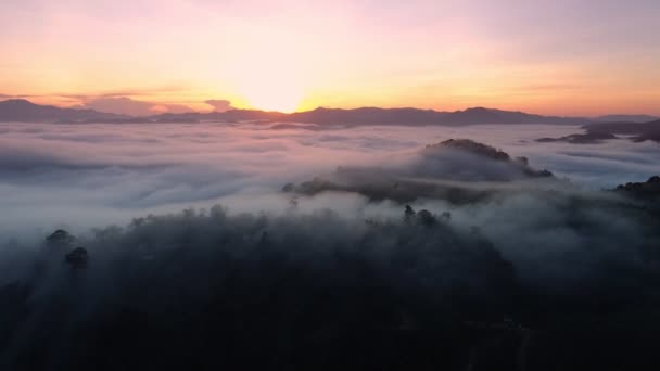 Καταπληκτική Θάλασσα Ομίχλης Που Ρέει Πάνω Από Βουνό Ανατολή Ηλιοβασίλεμα — Αρχείο Βίντεο