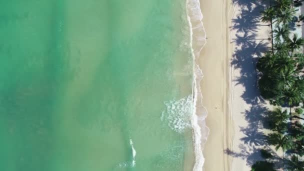 มมองทางอากาศบนยอดของต นปาล มมะพร าวบนชายหาดป าตองท สวยงาม ประเทศไทย หาดทรายทะเลท นตาต นใจ — วีดีโอสต็อก