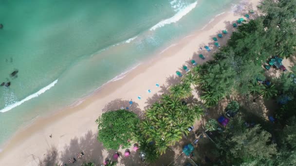 Niesamowita Piękna Plaża Widok Lotu Ptaka Tropikalna Plaża Morze Pięknej — Wideo stockowe