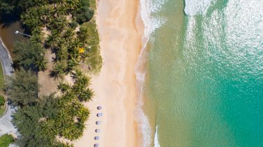 Hindistan cevizi palmiye ağaçlarının gökyüzü manzarası güzel Karon plajı Phuket Tayland inanılmaz deniz kumsalı turist gezisi yeri ve güzel Puket adası seyahat ve tur konsepti.