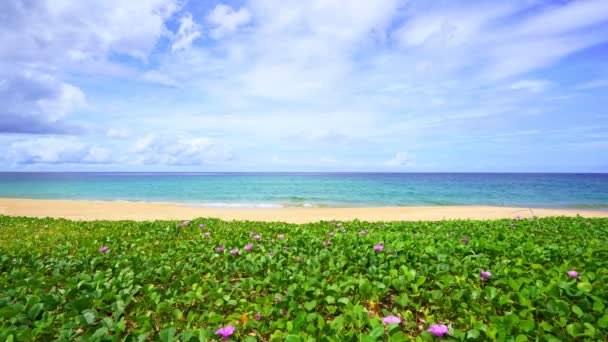 夏の海に浮かぶ青い空と白い雲プーケットのいい天気の日タイコンセプト旅行の背景自然環境 — ストック動画